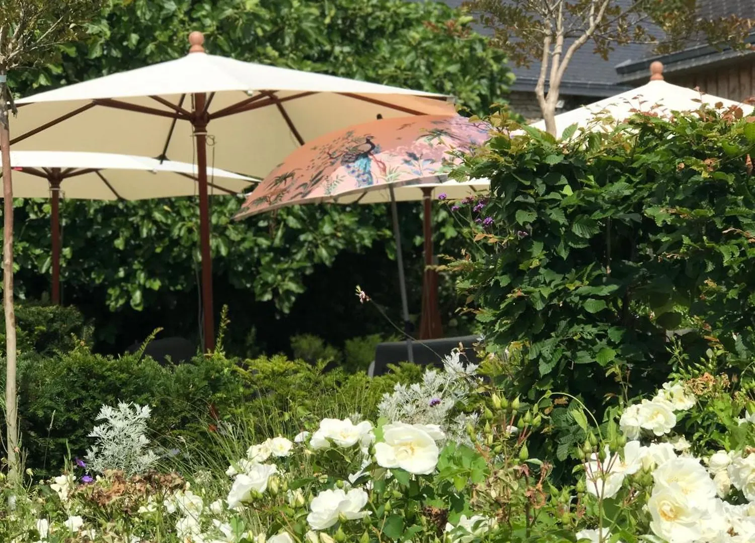 Couette-café Manoir Saint-Andre,B&B De Charme Theix France
